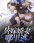 替嫁娇妻是电视剧吗