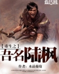 重生九零年代陆枫