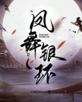 凤舞银环