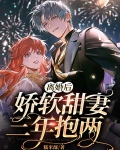 离婚后娇妻成了大佬