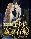 闪婚契约妻：封少宠妻有瘾