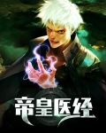 帝医小说