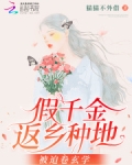 假千金返乡种地，被迫卷玄学
