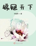 锦冠天下