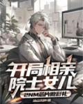 开局相亲院士女儿，2nm芯片做彩礼