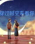 穿过时空去见你小说