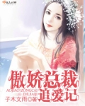 傲娇总裁追妻忙宠妻成瘾