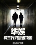 华娱:导三代只想当顶流作者:羚羊开车
