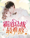 霸道总裁太难缠的
