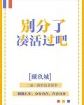 凑活过是什么意思