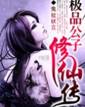 极品公子前传是什么