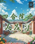 四合院徐大茂修车