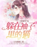 青梅竹马：躲在袖子里的猫