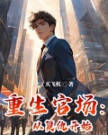 重生官场:从复仇开始小说