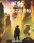 巫师：从智能芯片开始