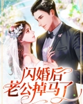 离不掉闪婚亿万老公