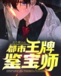 王牌鉴宝师 小说