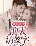 婚如烈酒前夫请放手