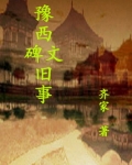 豫西风云小说