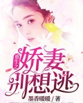 重生之娇妻别想逃