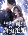 贪恋成痴,谢总霸道抢婚免费阅读
