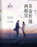 觅音传情两相宜小说