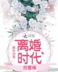 离婚时代的爱情