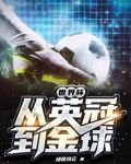 世界杯：从英冠到金球