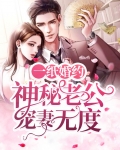 一纸婚约：神秘老公宠妻无度