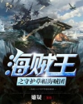 海贼王之守护草帽海贼团小说