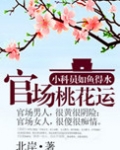 官道之步步高升