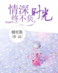 情深不负浅时光完整版免费阅读