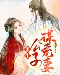 重生之宠你入骨 公子第九