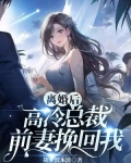 离婚后高冷总裁前妻挽回我小说