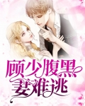 腹黑顾少已上线