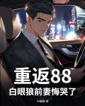 小说重返19888