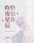 昨夜星辰恰似你歌词