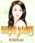 最佳仙婿