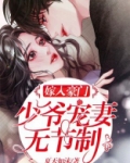 灰真少爷嫁入豪门